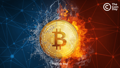 How to Analyze the Bitcoin Dominance Chart