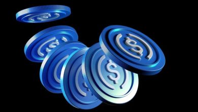 Circle Debuts on NYSE at $31 after Raising $1B in IPO