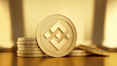 Hedge Fund Execs Plan $100M BNB Token Treasury
