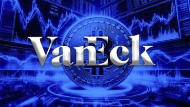VanEck Raises Red Flag on Corporate Bitcoin Buying