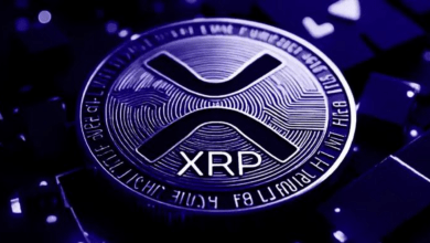 XRP Ruling Won't Change Legal Status, Says Lawyer